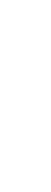 vector 1